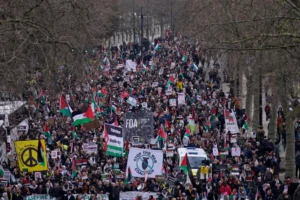 Protesters hold up banners, flags and placards during a demonstration in support of Palestinian people in Gaza, in London