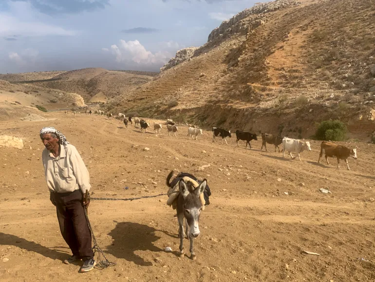 ‘Like a mafia’: Israeli settlers, forces squeeze Palestinian shepherds out