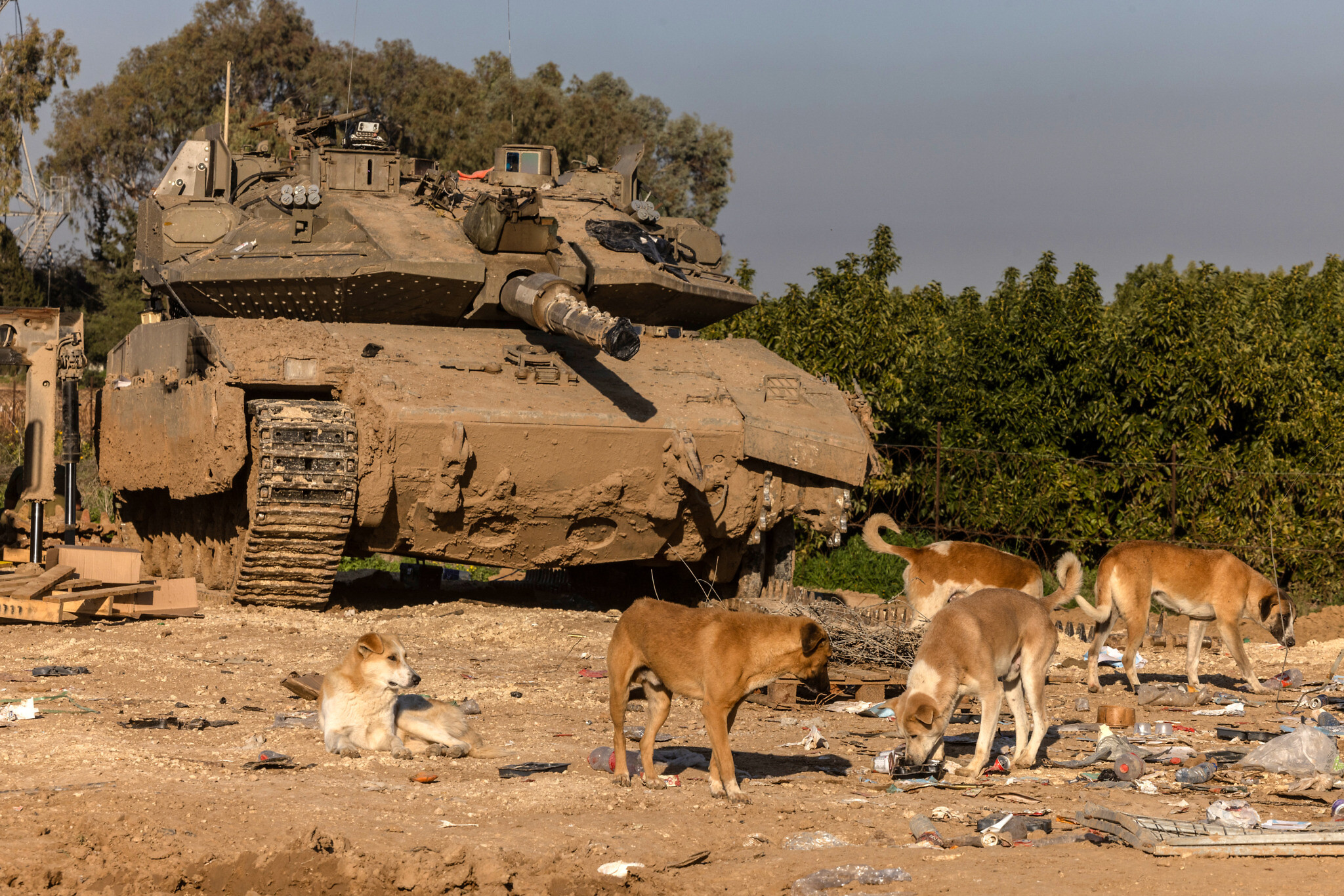 Israel is ‘behaving like a rogue state’, Coveney says