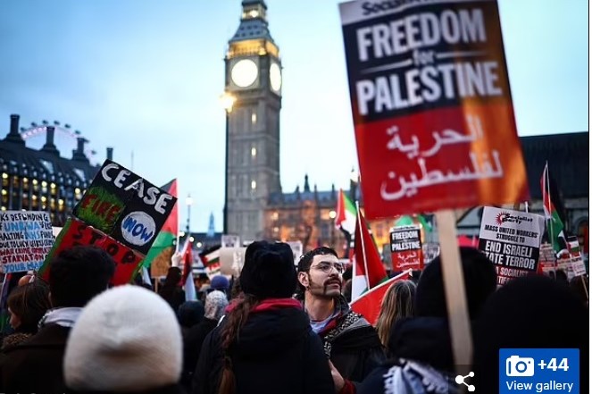 Pro-Palestine protesters shut down London Tower Bridge